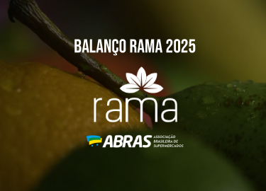 Balanço anual RAMA 2025
